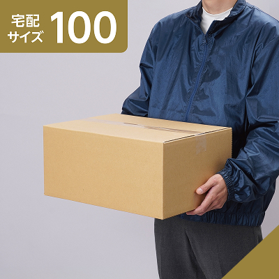 100サイズ